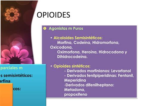 opioides ejemplos